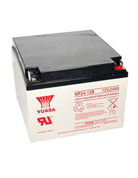 Batteria al piombo Yuasa 12V  24Ah