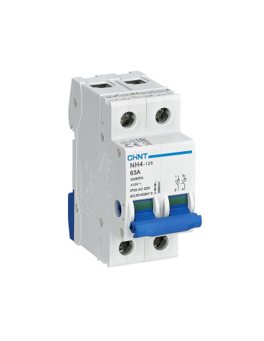 Interrutore sezionatore 2p 63A