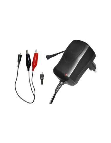 Caricabatterie piombo 12V 1000MA