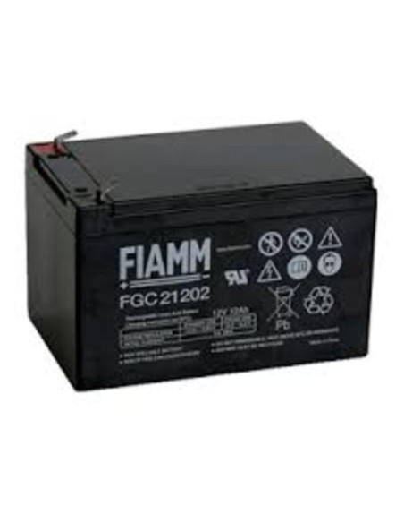 Batteria al piombo Fiamm 12V  12Ah ciclica