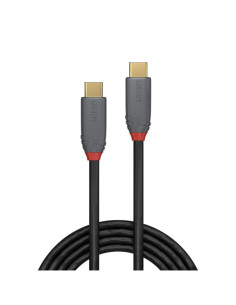 Cavo USB 3.2 Tipo C Anthra Line 10Gbps PD 100W 3m 2