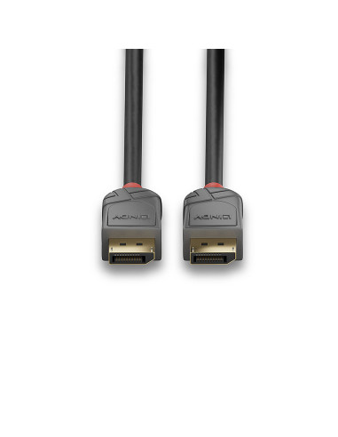 Cavo DisplayPort 1.4 Anthra Line 0,5m