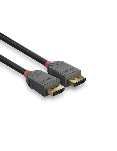 Cavo DisplayPort 1.4 Anthra Line 0,5m