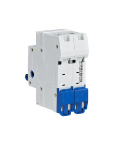 Interrutore sezionatore 2p 63A 2
