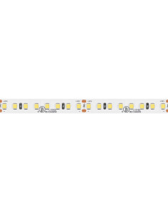 Striscia LED 24Vdc 19,2W/m 5000k ip20