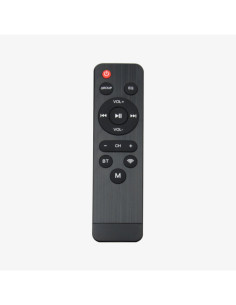 Player Lan-BT-USB-AUX-WIFI + telecomando 2
